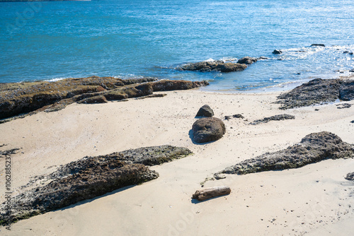 Wallpaper Mural 砂浜と海 Torontodigital.ca