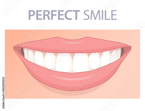 Medical poster showing healthy smile. Vector illustration showing clean white teeth.