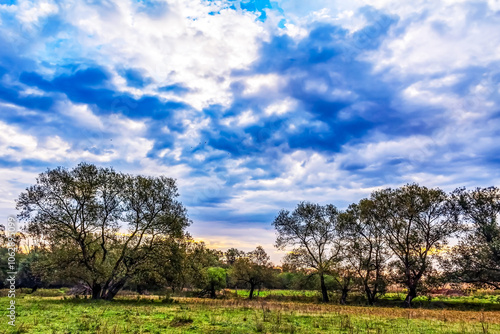 Landscapes - Forest - Europe, Romania, Suceava region