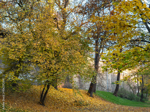 Krakowskie planty jesienią, czyli wielki park w Krakowie photo