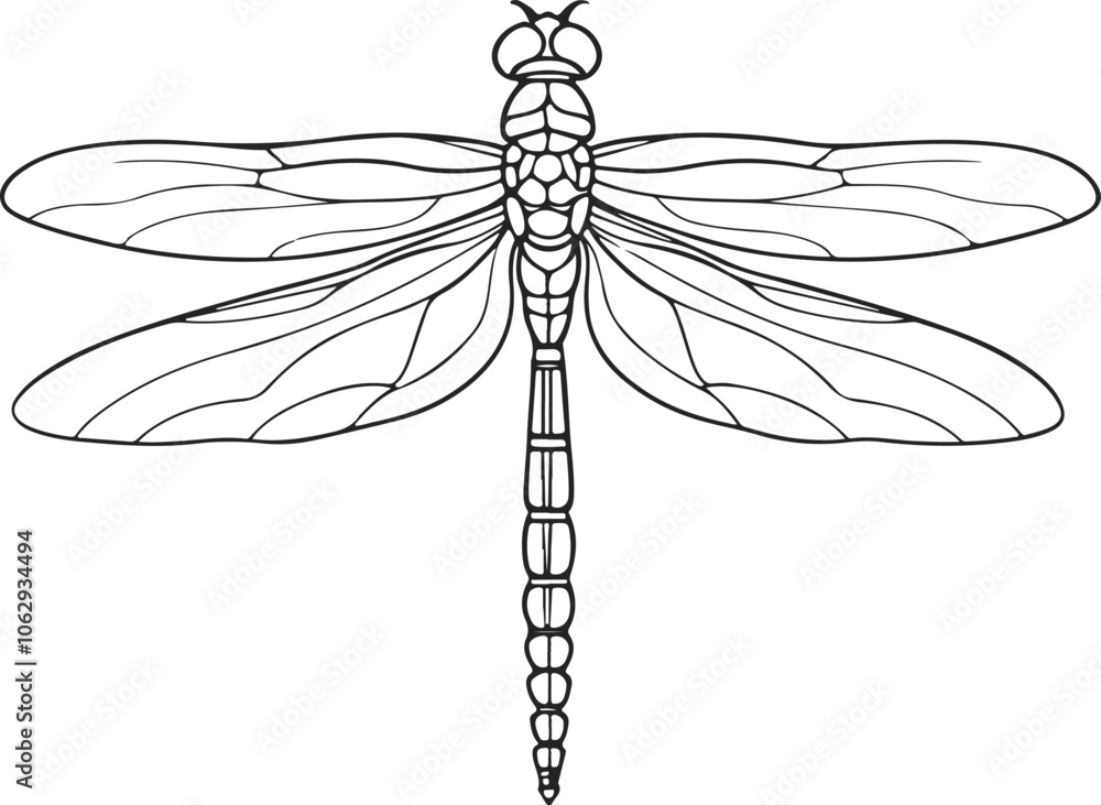 Obraz premium Dragonfly Sketch Line Drawing. Insect Dragonfly in Simple Linear Style. Doodle Vector Illustration
