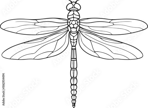 Dragonfly Sketch Line Drawing. Insect Dragonfly in Simple Linear Style. Doodle Vector Illustration