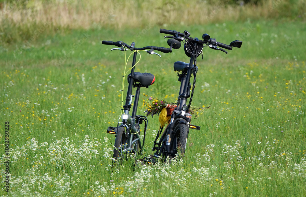 Naklejka premium Bicycles stand in a green field in summer