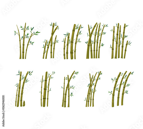 Bamboo branch Illustration Collection