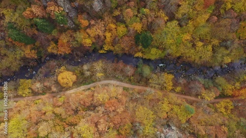 Autumn landscape on the ecotrail in the forest near Devin, Smolyan, Bulgaria photo