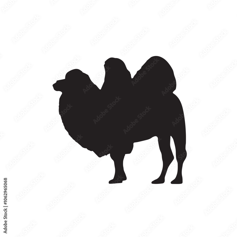 Camel vector silhouette on white background Camel vector silhouette on white background