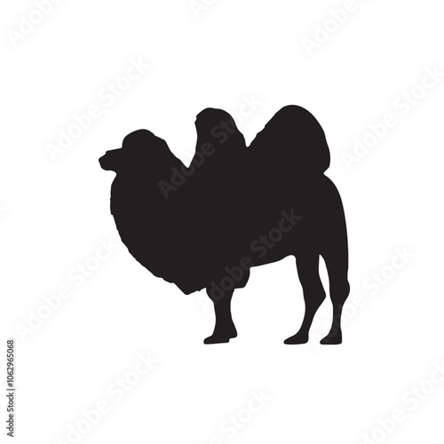 Camel vector silhouette on white background
