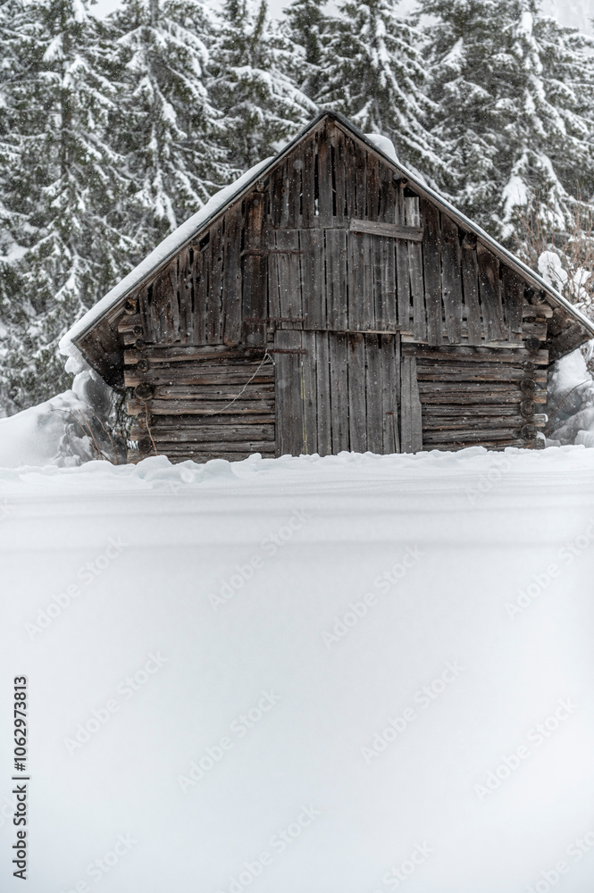 Winter atmosphere. Inside a thick snowfall. Sappada, Dolomites. Winter atmosphere. Inside a thick snowfall. Sappada, Dolomites.
