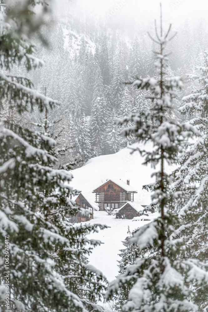 Winter atmosphere. Inside a thick snowfall. Sappada, Dolomites. Winter atmosphere. Inside a thick snowfall. Sappada, Dolomites.