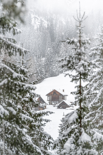 Winter atmosphere. Inside a thick snowfall. Sappada, Dolomites.