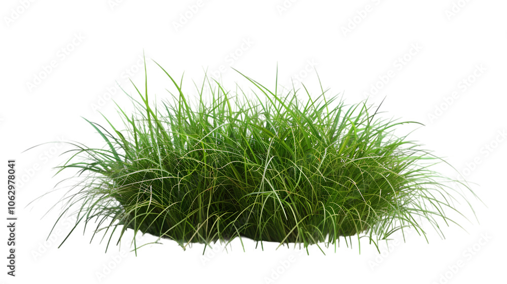 grass texture png grass texture png