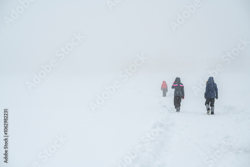 Winter atmosphere. Inside a thick snowfall. Sappada, Dolomites.