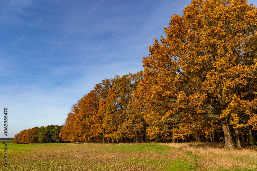 An autumn landscape with fields and forests in Central Europe.
