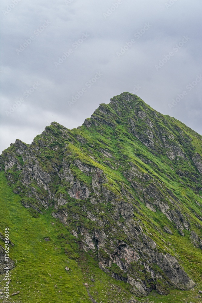 Lush Green Mountain Peak Lush Green Mountain Peak