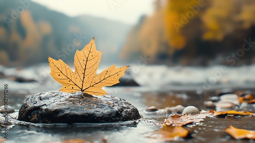 Morning dew on fallen autumn leaf, earthy tones, sharp contrast, intricate texture, soft focus background, peaceful vibe