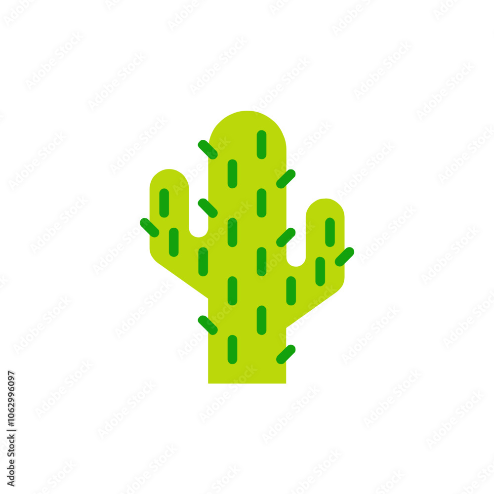 Cactus
Cactus
