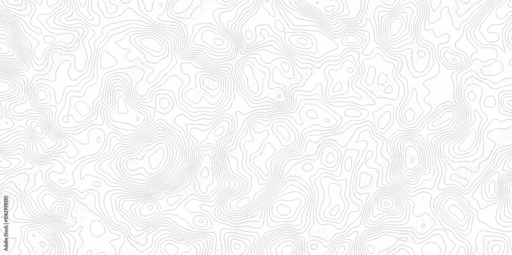 Contour abstract map relief land outline. Topographic map patterns. White wave paper curved reliefs abstract background. Background of the topography map. Abstract pattern with lines. Contour abstract map relief land outline. Topographic map patterns. White wave paper curved reliefs abstract background. Background of the topography map. Abstract pattern with lines.