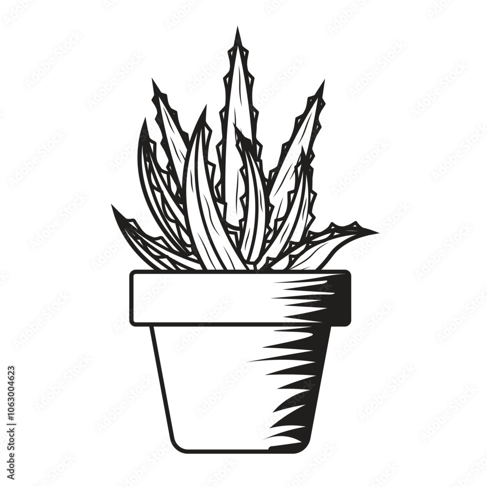 Hand Drawn Aloe Vera Hand Drawn Aloe Vera