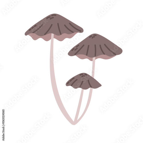 Illustration of three brown mushrooms with slender stems. Vector hand drawn artwork in simple and minimalist style isolated on white background