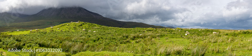 Panorama of the fields and mountains of the Isle of Skye, Scottish Highlands, with grazing sheep on the lush grass. Low cloud hugs the mountain tops, Inner Hebrides, Scotland. photo