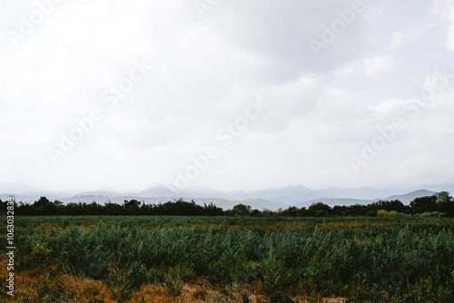 Rural scene in L'Empordà, Figueres, Girona, Catalonia, Spain with mountains in the background photo