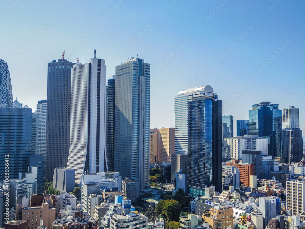 Fototapeta premium 【東京都】東急歌舞伎町タワーからの景色