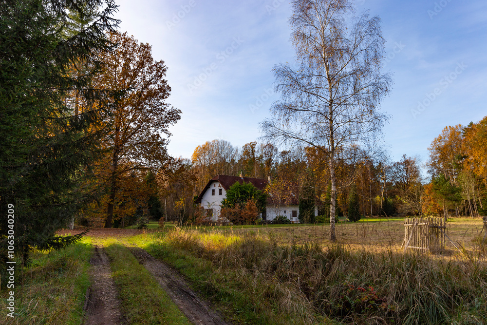 An old country house lost deep in the forest on a sunny autumn day.