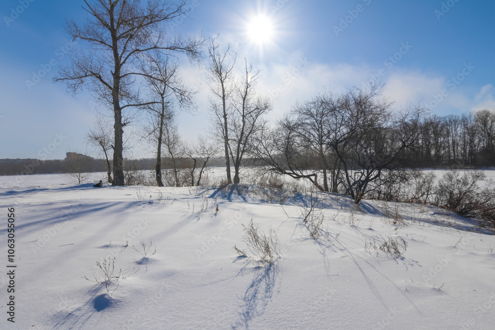 Fototapeta premium winter snowbound forest glade at cold sunny day