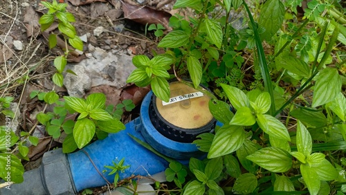 Jakarta, Indonesia - November 4, 2024 - The old, unmaintained water meter is almost covered by bushes. photo