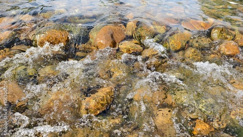 moss covered rocks