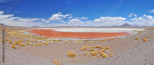 Laguna Colorada (Red Lagoon)  shallow salt lake in the southwest of the altiplano of Bolivia photo