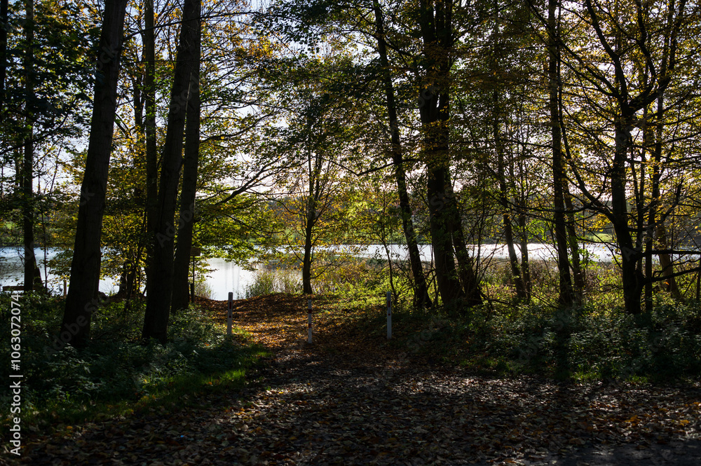 Herbstlicher Wanderweg am Nord-Ostsee-Kanal bei Rendsburg Herbstlicher Wanderweg am Nord-Ostsee-Kanal bei Rendsburg