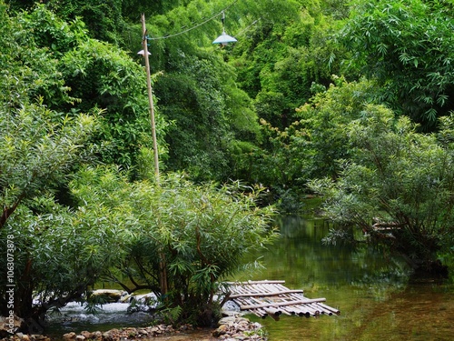 river in the forest