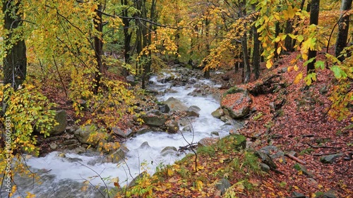 Oropa, Italy. Stream flows in the beech forest in the autumn season. The foliage shows autumn colors. The water of the river wets the rocks and leaves. Relaxing and calm 4K slow motion video. photo