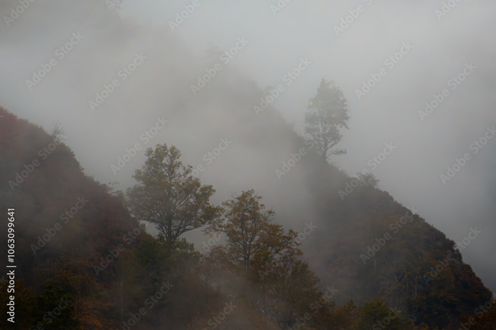 Foggy day in the mountain Foggy day in the mountain