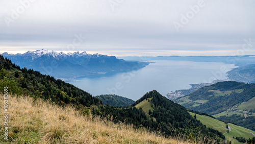 Majestic view of the Swiss Alps from Dent de Jaman