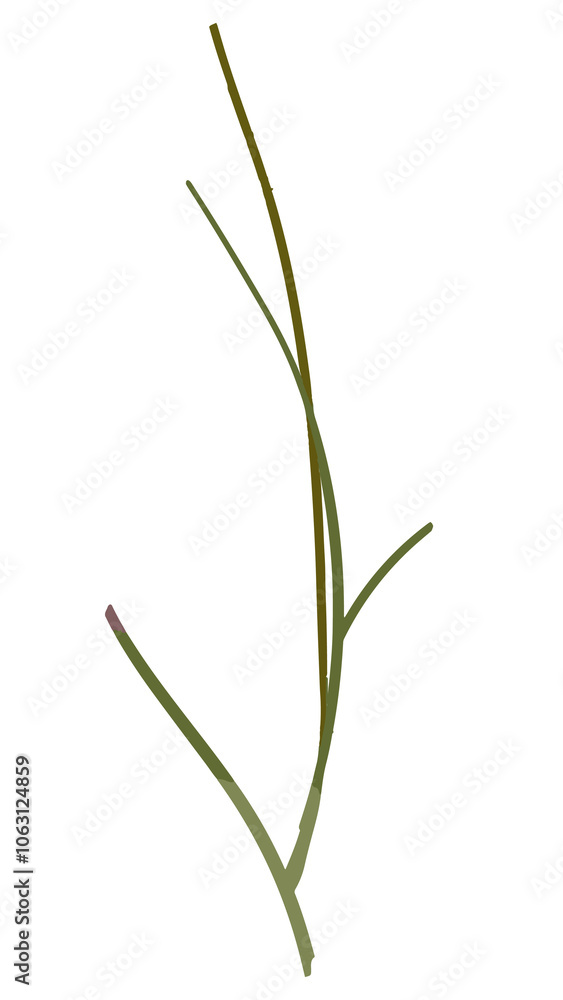 Green leaf png watercolor, transparent background Green leaf png watercolor, transparent background