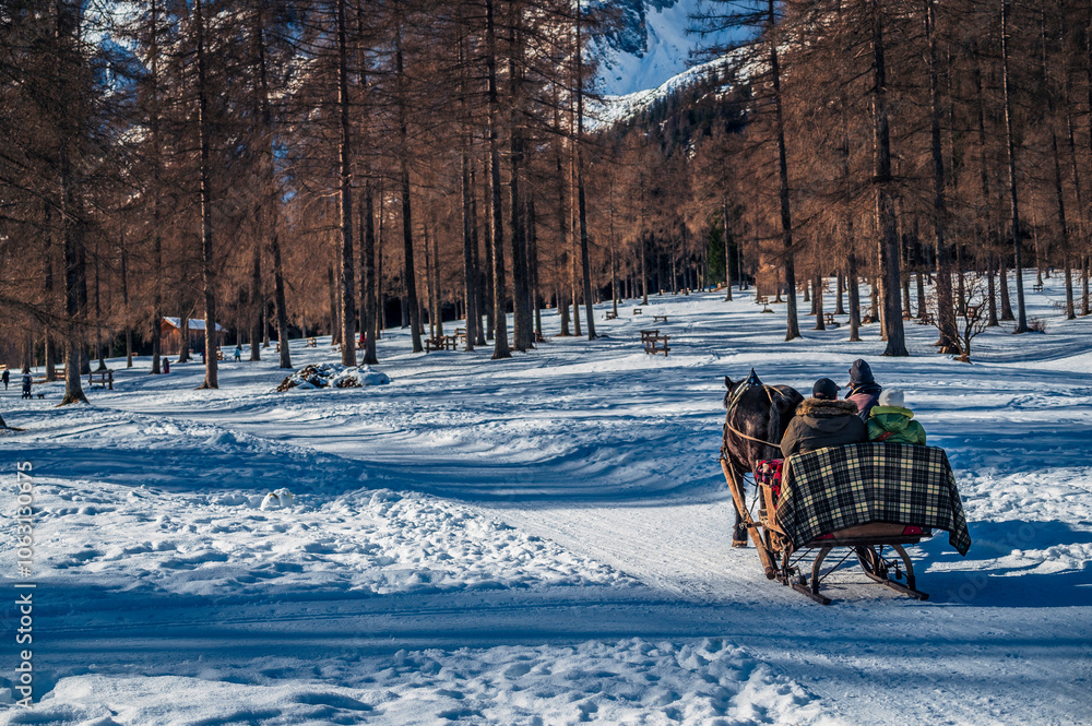 Dolomites in winter. Val Fiscalina, between peaks, larch forests, mountain pines and warm huts. Dolomites in winter. Val Fiscalina, between peaks, larch forests, mountain pines and warm huts.
