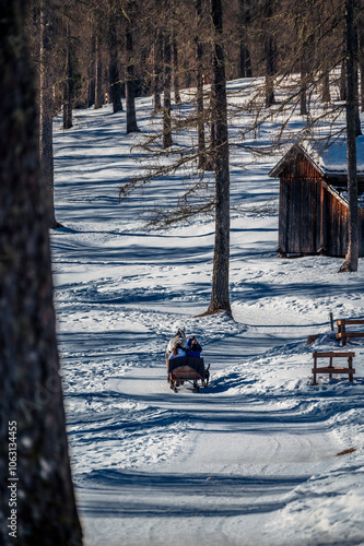 Dolomites in winter. Val Fiscalina, between peaks, larch forests, mountain pines and warm huts. photo