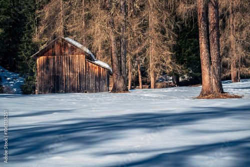 Dolomites in winter. Val Fiscalina, between peaks, larch forests, mountain pines and warm huts. photo