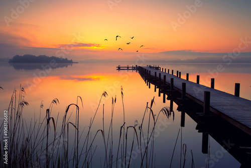Fototapeta Naklejka Na Ścianę i Meble -  flying birds over wooden pier in the calm and tranquill morning