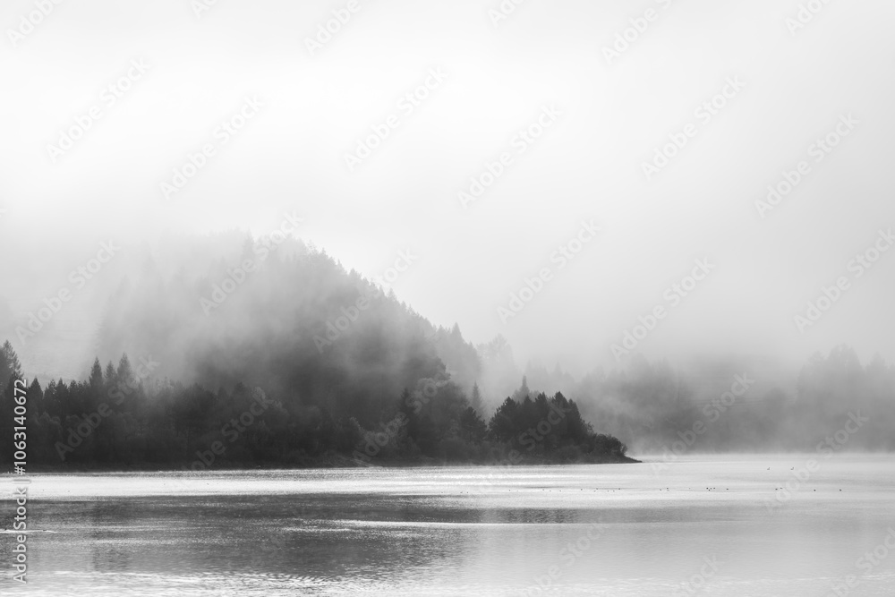 Serene Foggy Lake with Birds in a Minimalist Black and White Landscape Serene Foggy Lake with Birds in a Minimalist Black and White Landscape