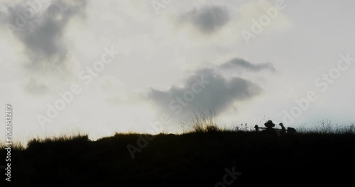 The idea of cheap labor for hire. A Mexican worker obediently goes to the excavation in the morning. His hands are symbolically fixed with a shovel