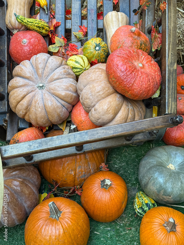 Colorful display of autumn pumpkins and gourds