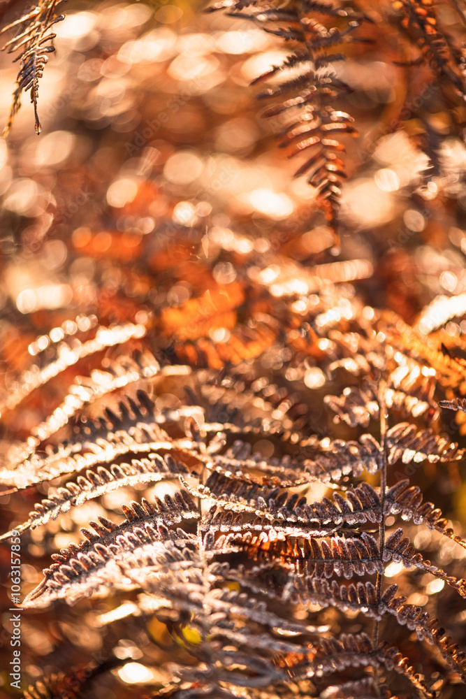 Golden Autumn Foliage with a Soft Blur Creating a Dreamy Nature Background Golden Autumn Foliage with a Soft Blur Creating a Dreamy Nature Background