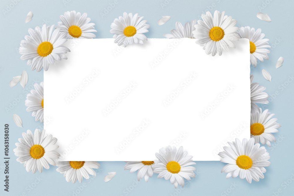Obraz premium Png floral frame sticker, botanical design in transparent background