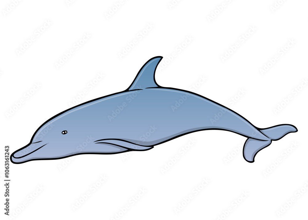 dolphin vector illustration dolphin vector illustration