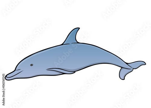 dolphin vector illustration