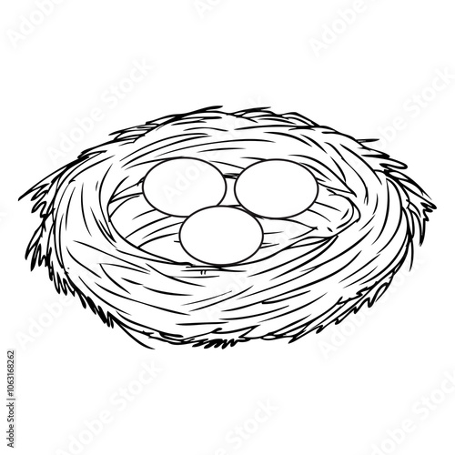 bird nest eggs line vector illustration