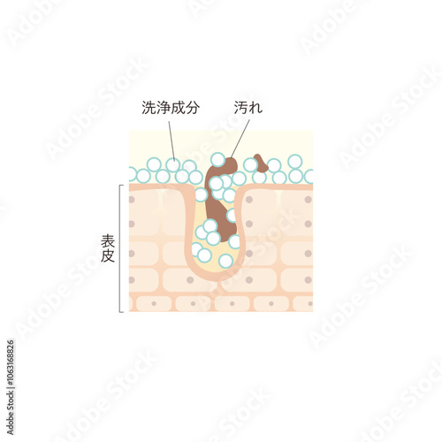 図版_肌図版_029_毛穴の汚れを落とす